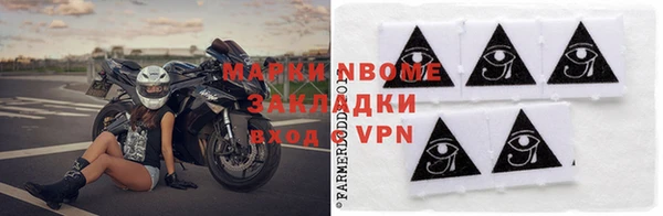 прущие грибы Аркадак