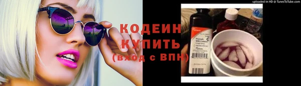 прущие грибы Аркадак